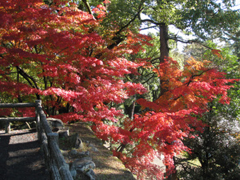 20101263_2 20101263_2