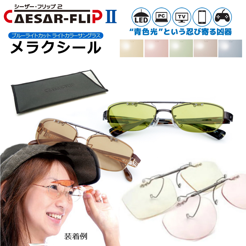 <span class="title">お持ちのメガネに付ける前掛け式ライトカラーレンズ</span>